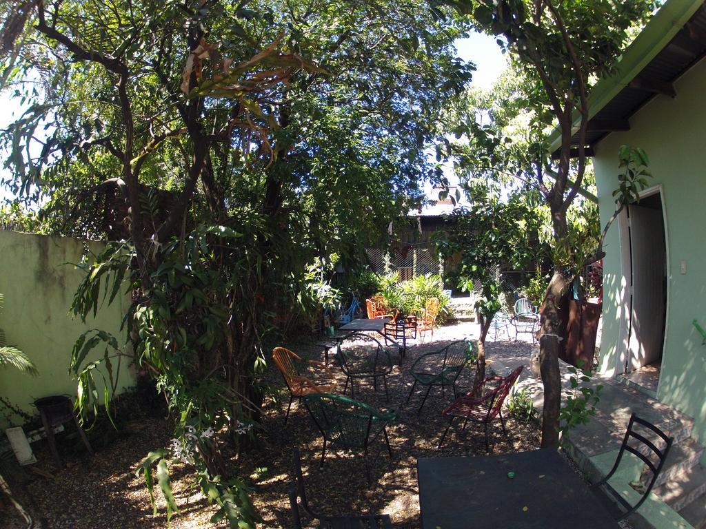 Hamaca Paraguaya Hostel Asunción Eksteriør bilde